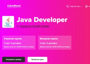 IT-специалистам: комплексная система обучения в CyberBionic Systematics