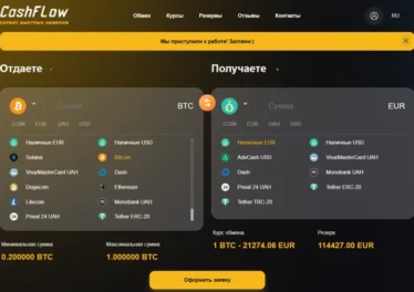 Обзор обменника CashFlow